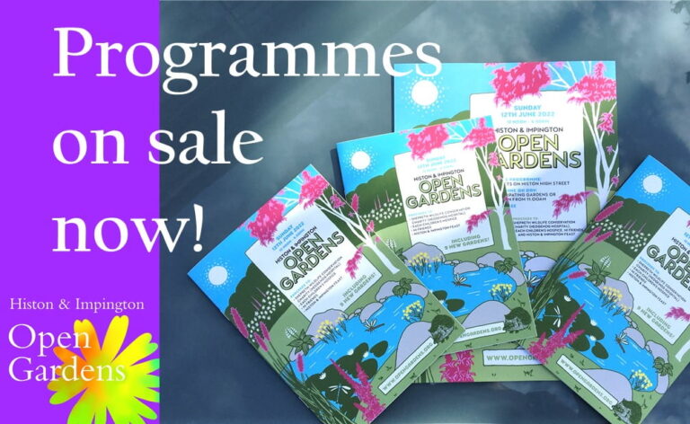 Programmes on sale now!