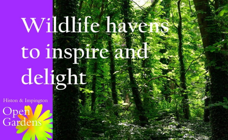 Wildlife havens to inspire and delight