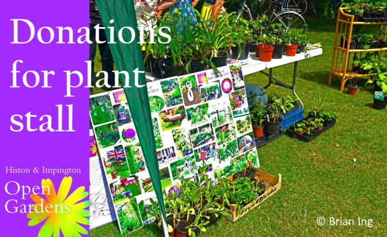 Donations for plant stall