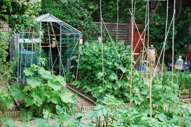 We need your garden!