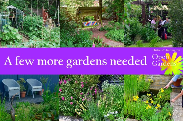 A few more gardens needed