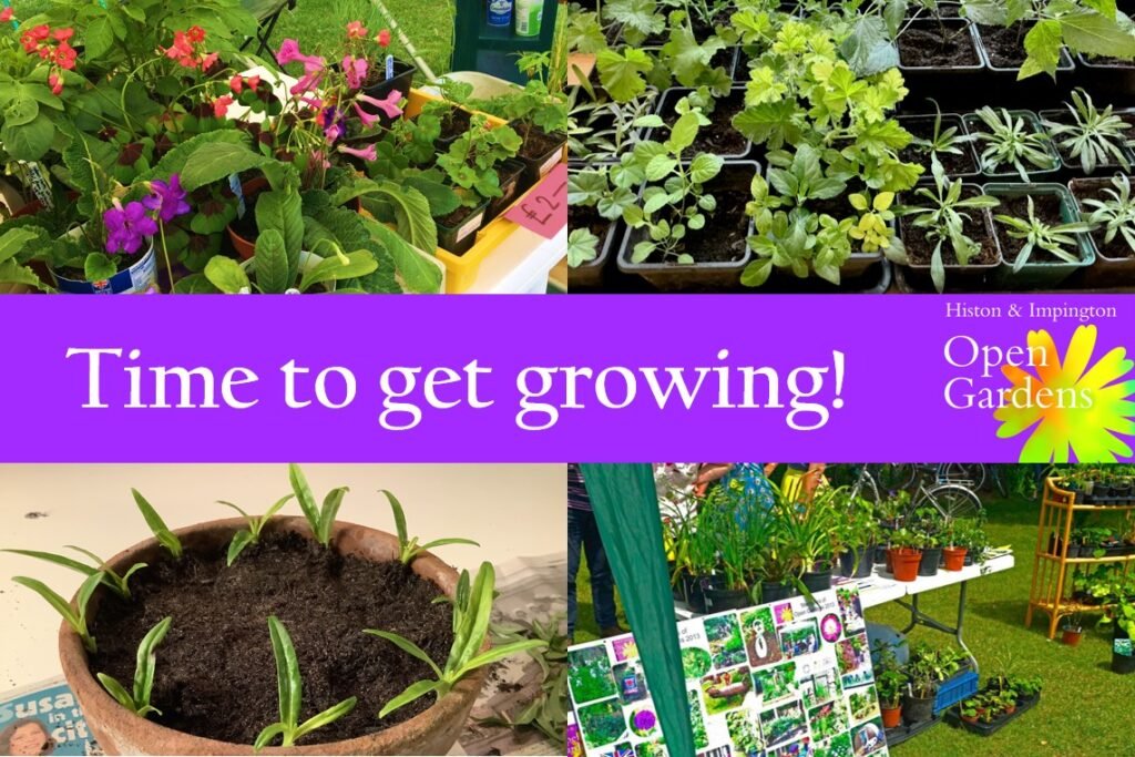 Time to get growing! – Open Gardens in Histon and Impington