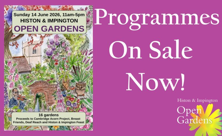 On sale now!